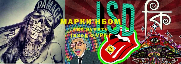 индика Белокуриха