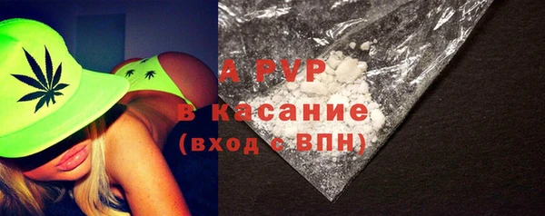 индика Белокуриха