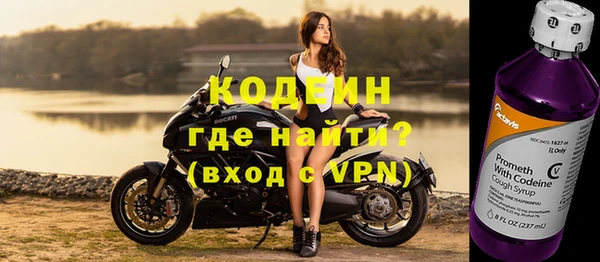 индика Белокуриха
